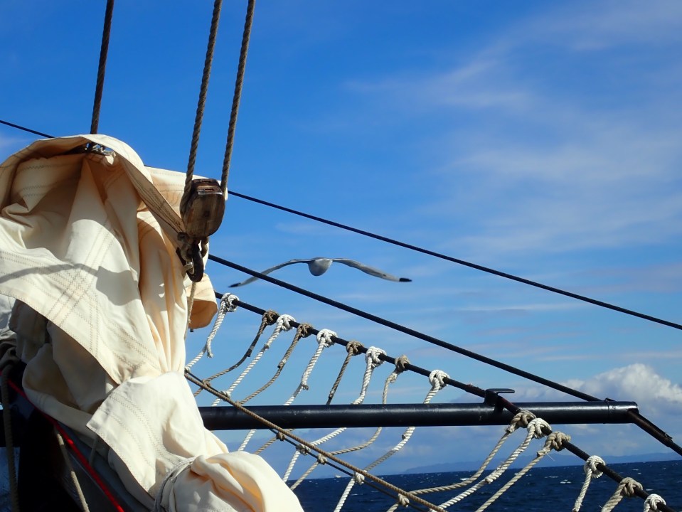 View over the bowsprit of Pelican of London.