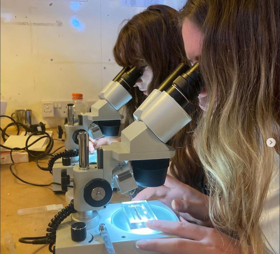 Megan and Hannah studying samples for plankton and microplastics