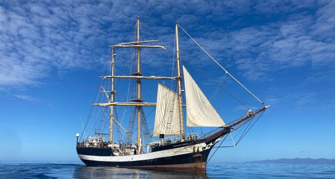 Pelican of London in calm tropical waters