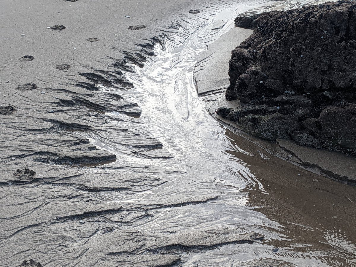 It’s British Science&nbsp;Week!