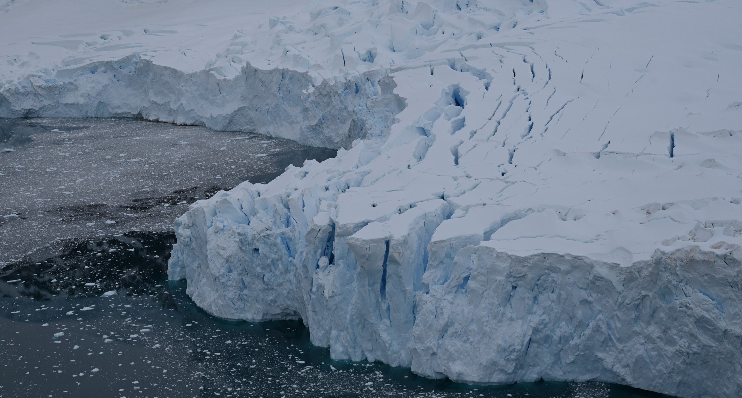Glacier in Neco Harbour, Antarctic Peninsula (c) C Braungardt 2022