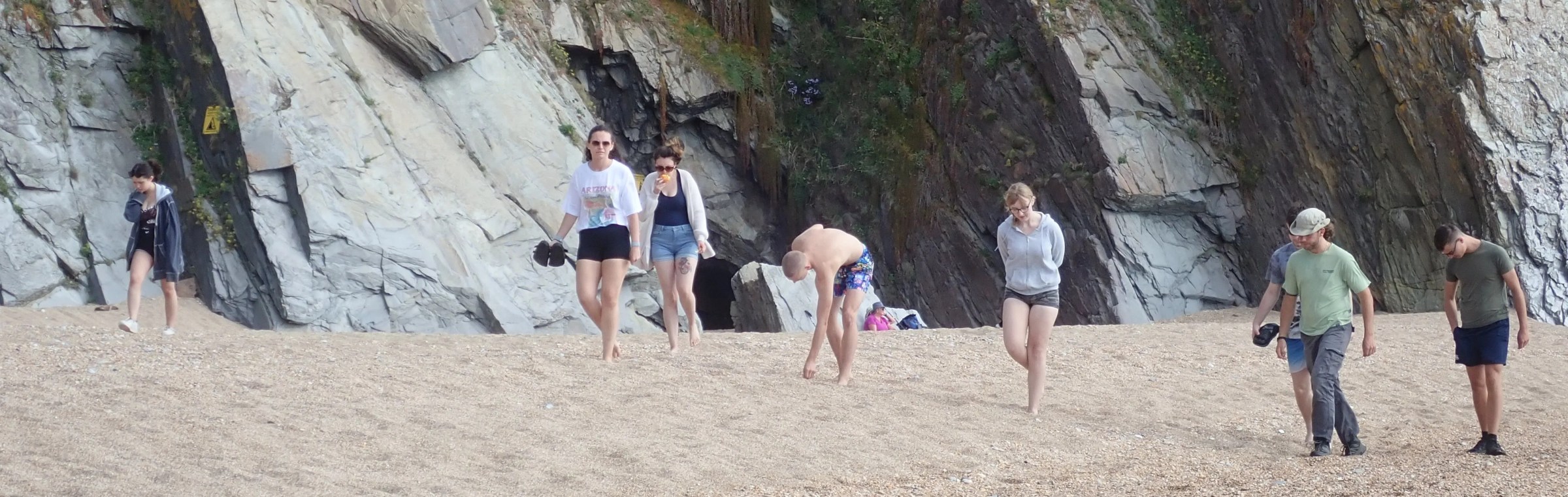 Beach combing for a litter pick and mermaid's purse survey