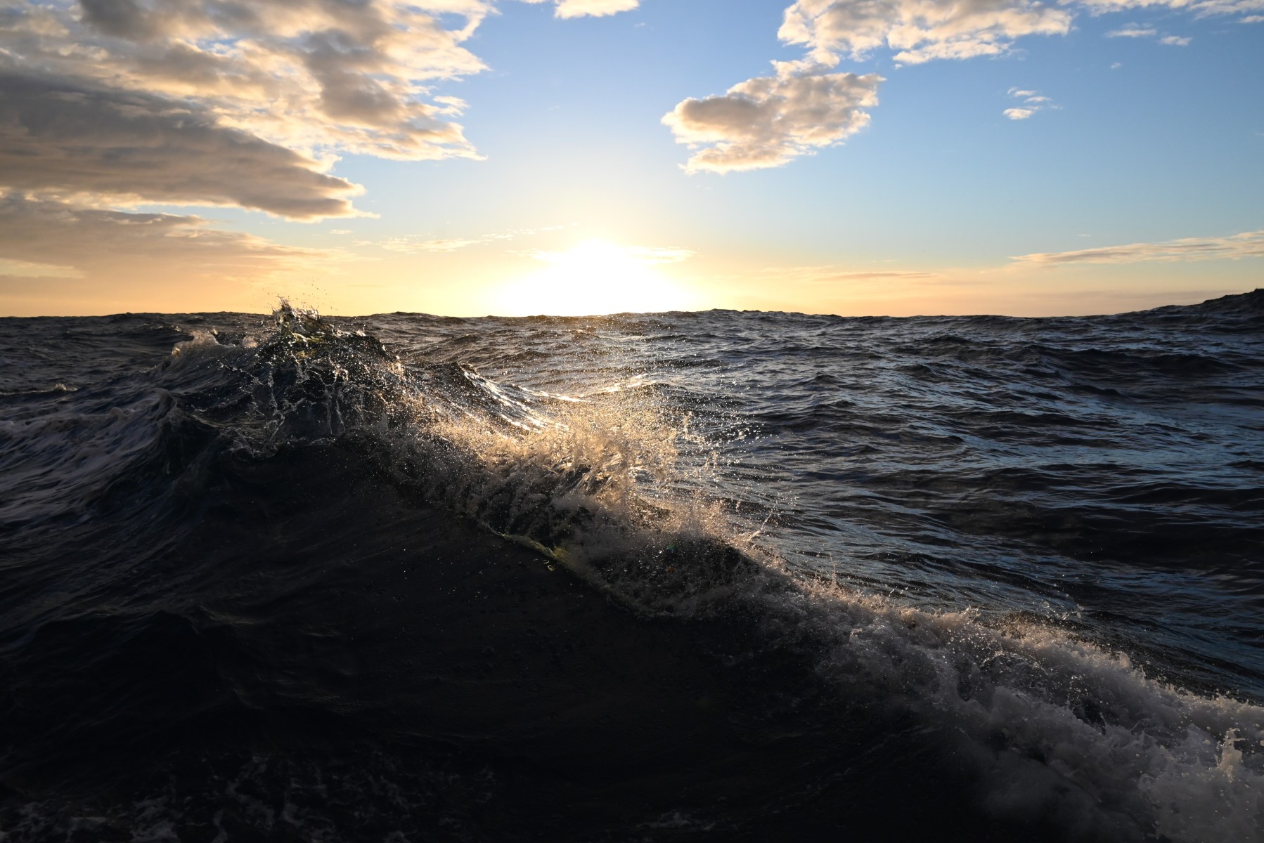 Evening at sea (c) C Braungardt 2022