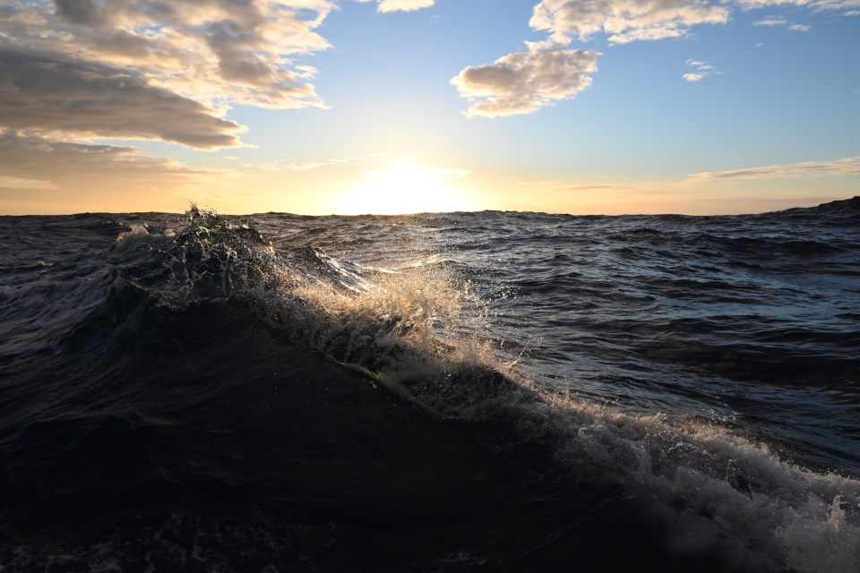 Evening at sea (c) C Braungardt 2022