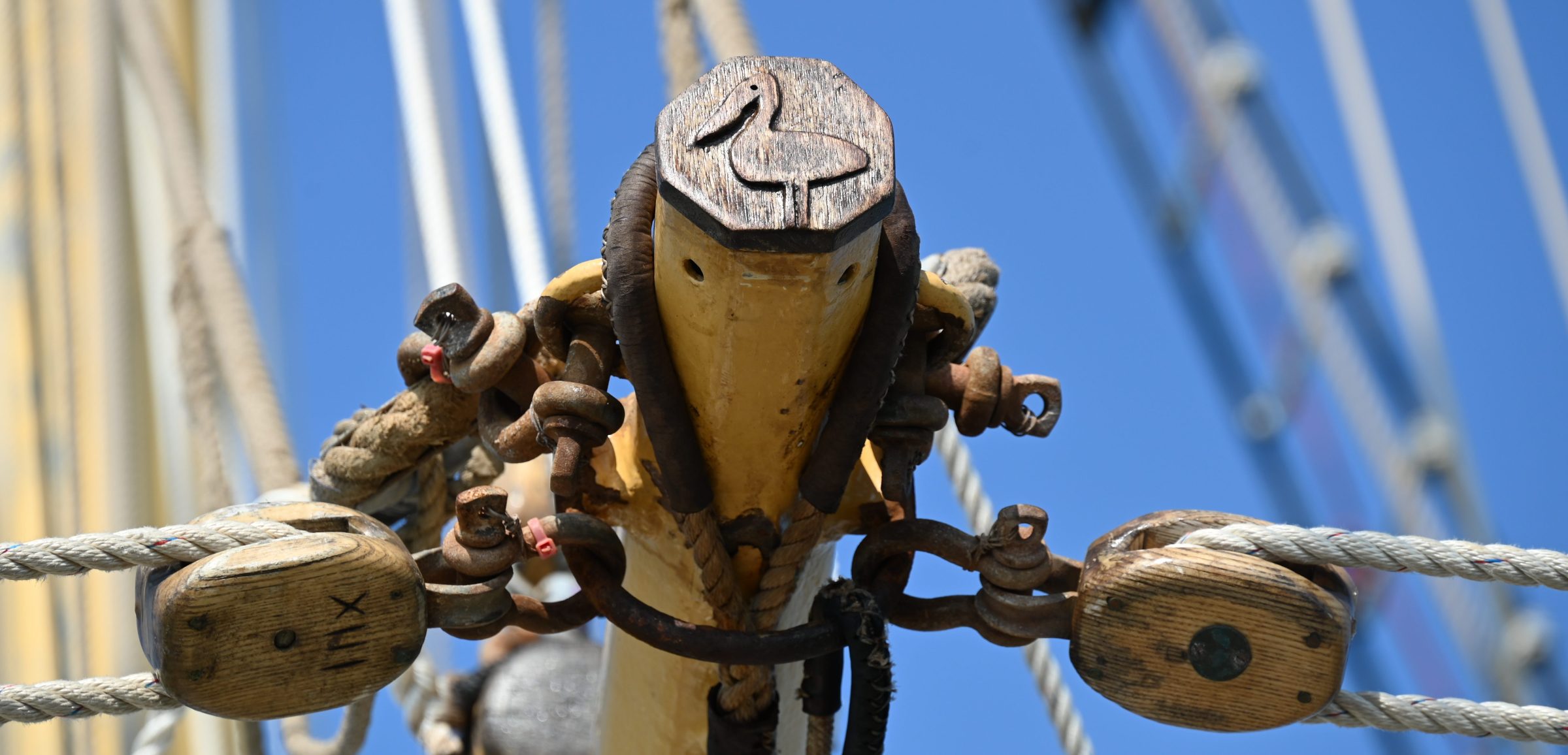 Detail of the foregaff on Pelican of London