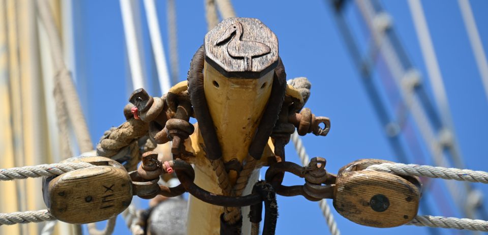 Detail of the foregaff on Pelican of London