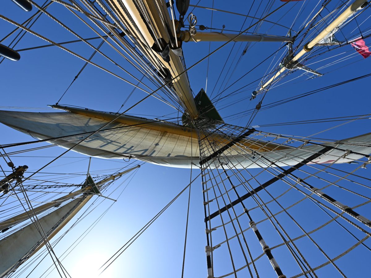 Learning and Networking