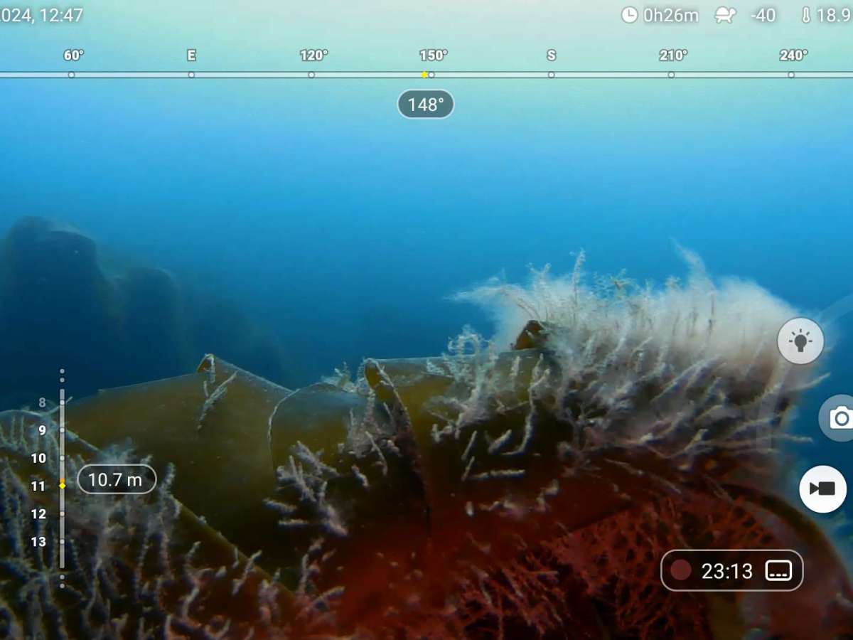 What lurks beneath the sea&nbsp;surface?