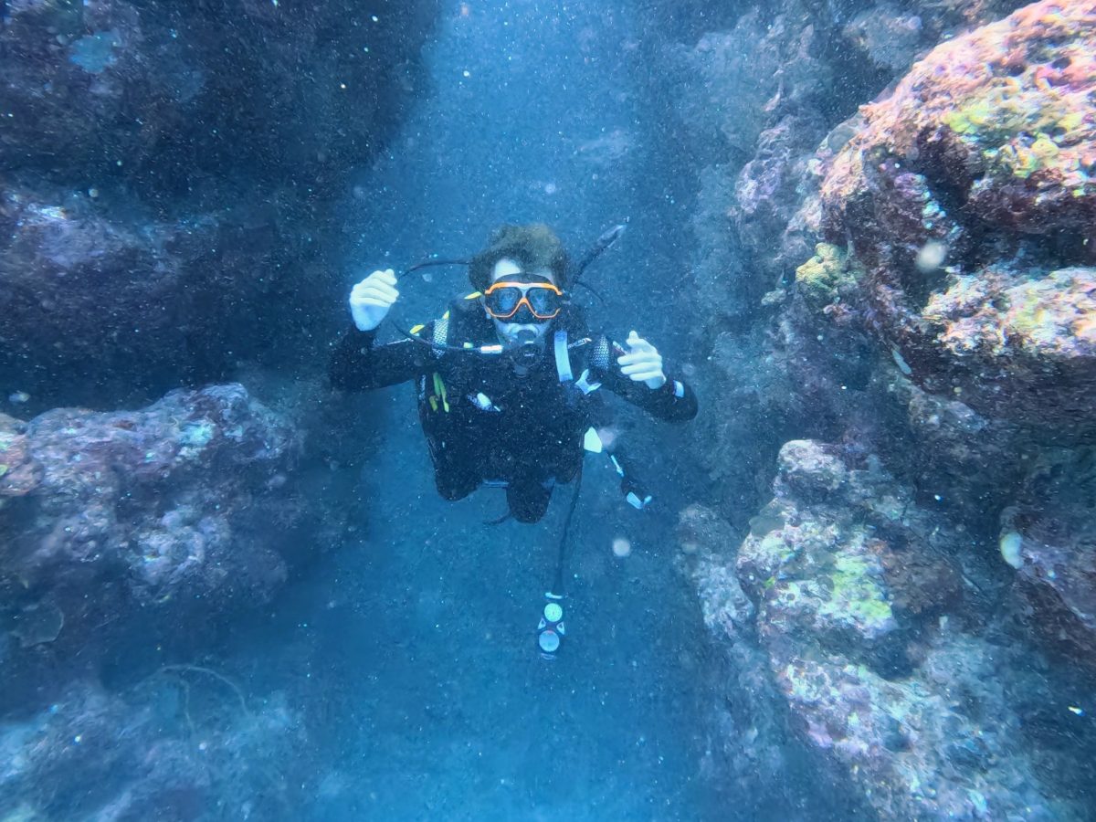 Guest Blog: Mauricio&nbsp;Ferreira