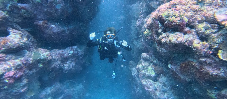 Mauricio diving at Keeper Reef. (c) Ferreira 2025