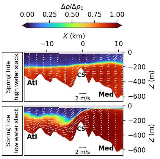 Mean flow characteristics for the Strait of Gibraltar. Adapted from Fig 8 in Tassigny et al 2026. A realistic physical model of the Gibraltar Strait. Ocean Science 22(1) 459-500. https://doi.org/10.5194/os-22-459-2026.