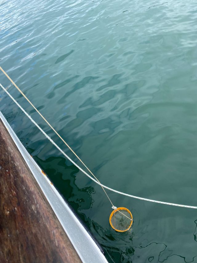 Plankton net at the surface